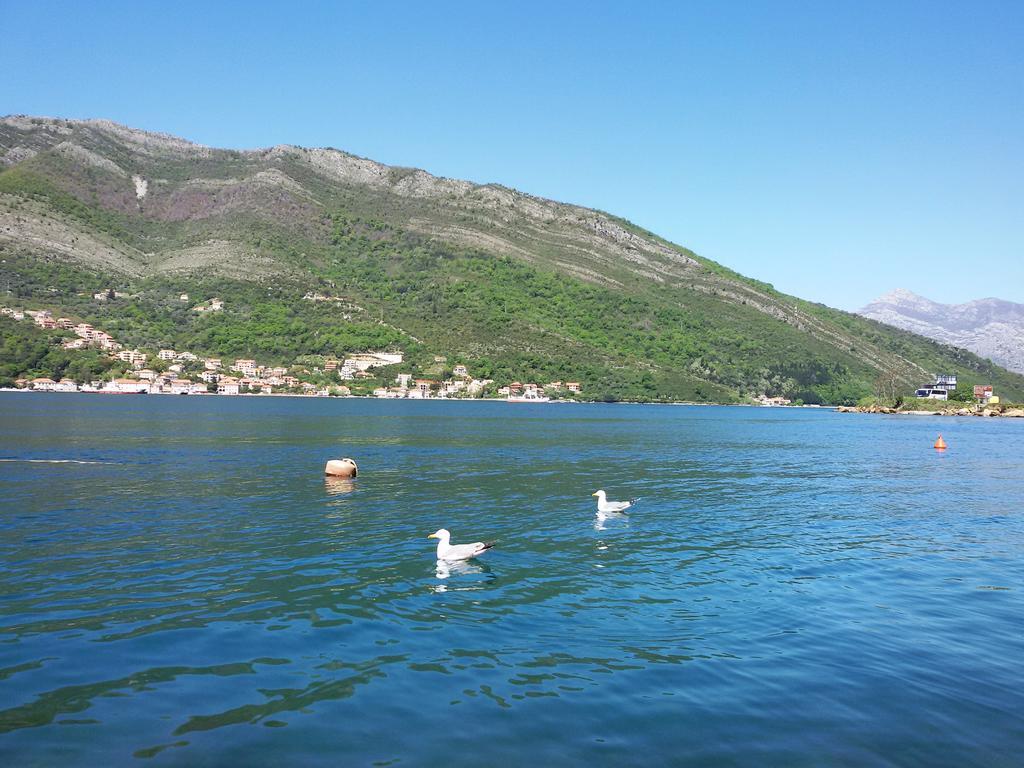 Apartmani Ivana Tivat Zewnętrze zdjęcie